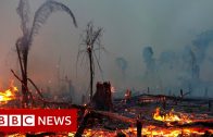 Climate change IPCC report is ‘code red for humanity’, UN scientists say – BBC News