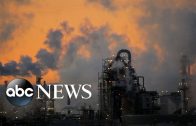 IPCC scientists to examine carbon removal | WION Climate Tracker | Latest World News