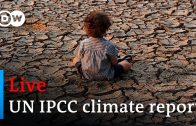 Watch live: UN IPCC releases new report on the impacts of climate change | DW News