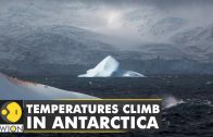 Temperatures soar by 30 degrees Celsius in Antarctica | WION Climate Tracker | World English News